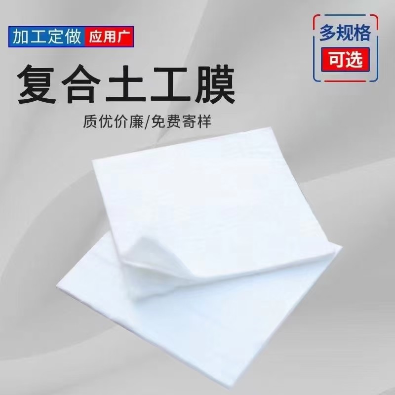 复合土工膜（两布一膜）